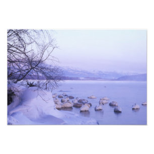 Asien, Japan, Hokkaido, Akan NP, Whopper Schwäne Fotodruck