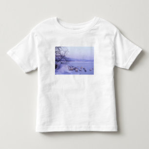 Asien, Japan, Hokkaido, Akan NP, Whopper-Schwäne Kleinkind T-shirt