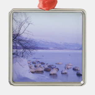 Asien, Japan, Hokkaido, Akan NP, Whopper Schwäne Ornament Aus Metall