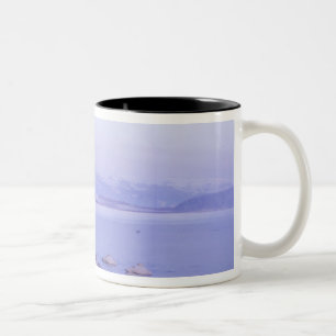 Asien, Japan, Hokkaido, Akan NP, Whopper Swans Zweifarbige Tasse