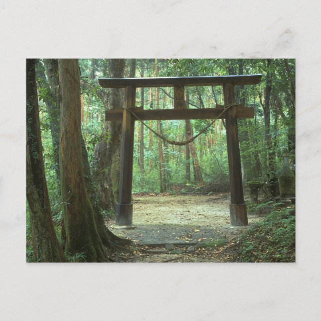 Asien, Japan, Kagoshima, Yakushima, Berg Postkarte (Vorderseite)