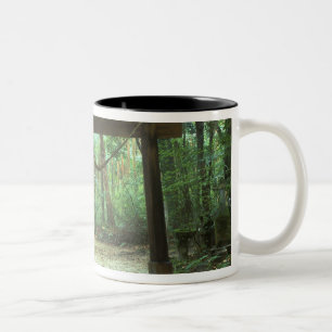 Asien, Japan, Kagoshima, Yakushima, Berg Zweifarbige Tasse