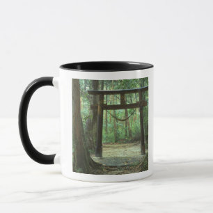 Asien, Japan, Kagoshima, Yakushima, Gebirge Tasse
