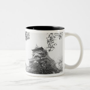 Asien, Japan, Kumamoto. Kumamoto, Burg Zweifarbige Tasse