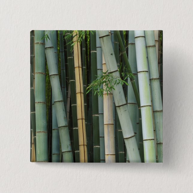 Asien, Japan, Kyoto, Arashiyama, Sagano, Bamboo Button (Vorderseite)