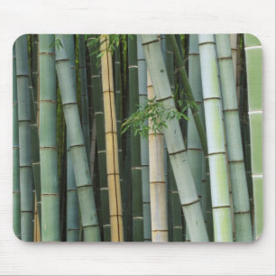 Asien, Japan, Kyoto, Arashiyama, Sagano, Bambus Mousepad