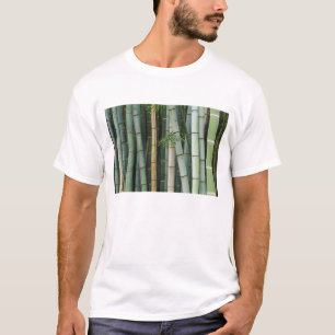 Asien, Japan, Kyoto, Arashiyama, Sagano, Bambus T-Shirt