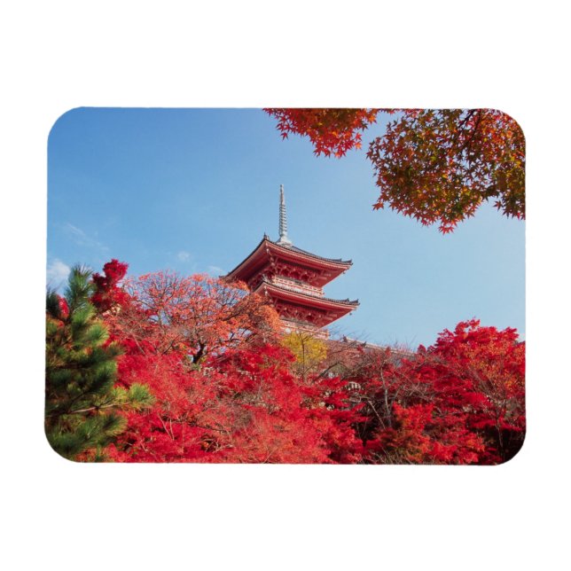 Asien, Japan, Kyoto. Farbe des Herbstes Magnet (Horizontal)