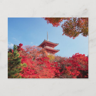 Asien, Japan, Kyoto. Farbe des Herbstes Postkarte