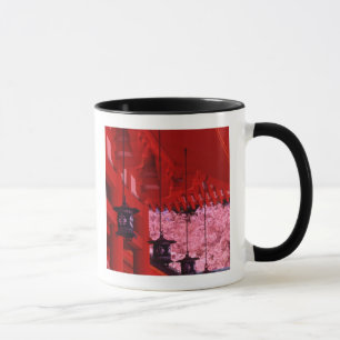 Asien, Japan, Kyoto, Heian-Schrein im Frühling. Tasse