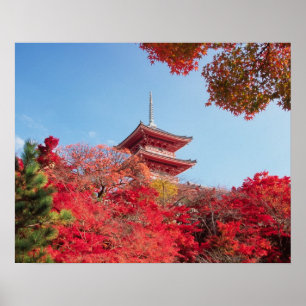 Asien, Japan, Kyoto. Herbstfarbe Poster