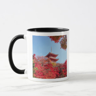 Asien, Japan, Kyoto. Herbstfarben Tasse