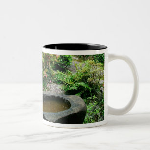 Asien, Japan, Kyoto. Zen-Garten Zweifarbige Tasse