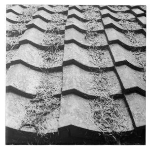 Asien, Japan, Miyajima. Detail des Tonziegeldachs Fliese