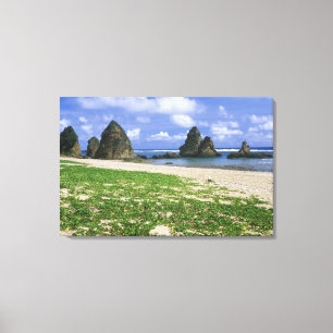 Asien, Japan, Okinawa, Yambaru-Küste, Meer Leinwanddruck