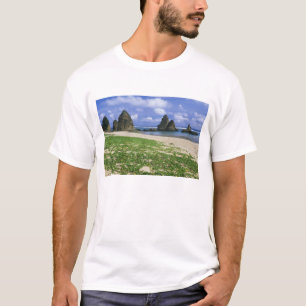 Asien, Japan, Okinawa, Yambaru-Küstenlinie, Meer T-Shirt