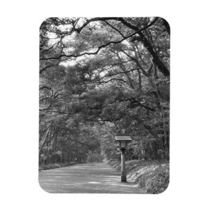 Asien, Japan, Tokio, Gelände des Meiji-Schreins, Magnet