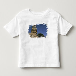 Asien, Jemen, Wadi Dhar. Felsenpalast oder Dar Al Kleinkind T-shirt