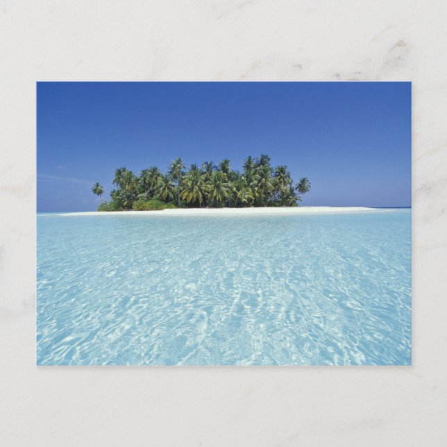 ASIEN, Malediven, Ari-Atoll, unbewohnt Postkarte (Vorderseite)