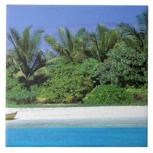 Asien, Malediven. Nord-Male-Atoll Fliese