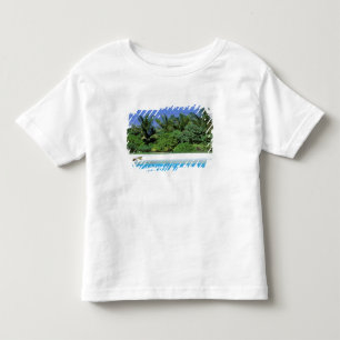 Asien, Malediven. Nordmännchen-Atoll Kleinkind T-shirt