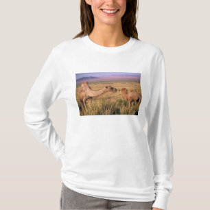 Asien, Mongolei, Gobi-Wüste, Große Gobi T-Shirt