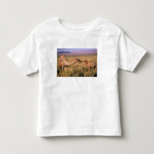 Asien, Mongolei, Wüste Gobi, Großer Gobi Kleinkind T-shirt
