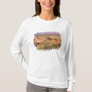 Asien, Mongolei, Wüste Gobi, Großer Gobi T-Shirt