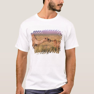 Asien, Mongolei, Wüste Gobi, Großer Gobi T-Shirt