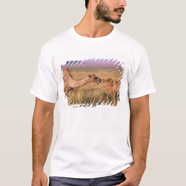 Asien, Mongolei, Wüste Gobi, Großer Gobi T-Shirt (Vorderseite)