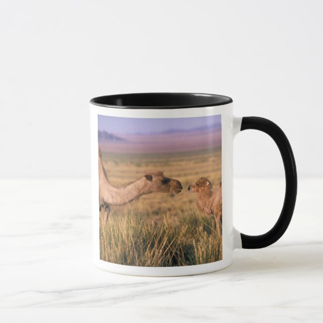 Asien, Mongolei, Wüste Gobi, Großer Gobi Tasse (Rechts)