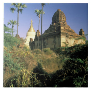 Asien, Myanmar, Bagan. Kubyauk-Gyi-Tempel. Fliese