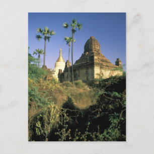 Asien, Myanmar, Bagan. Kubyauk-Gyi Tempel. Postkarte