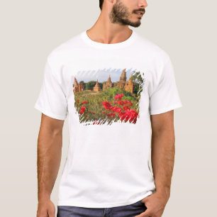 Asien, Myanmar (Birma), Bagan (Heide). Ein Bagan T-Shirt
