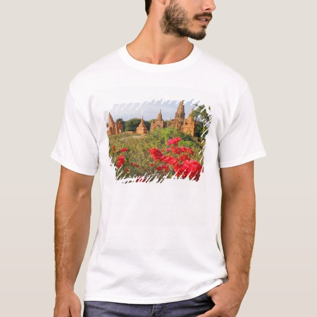 Asien, Myanmar (Birma), Bagan (Heide). Ein Bagan T-Shirt (Vorderseite)