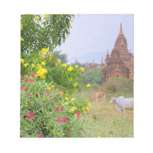 Asien, Myanmar (Birma), Bagan. Kühe Notizblock