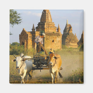 Asien, Myanmar (Birma), Bagan (Pagan). Ein Karren Magnet