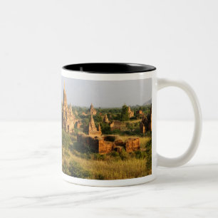 Asien, Myanmar (Birma), Bagan (Pagan). Verschieden Zweifarbige Tasse