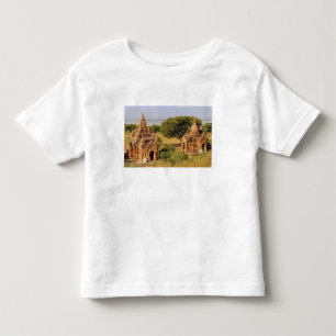 Asien, Myanmar (Birma), Bagan. Verschiedene 2 Kleinkind T-shirt