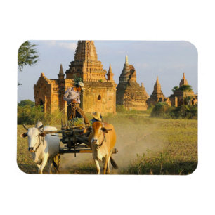 Asien, Myanmar (Burma), Bagan (Pagan). Ein Karren  Magnet