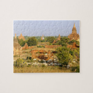 Asien, Myanmar (Burma), Bagan (Pagan). Kühe passie