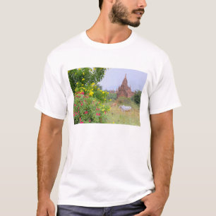 Asien, Myanmar (Burma), Bagan (Pagan). Kühe T-Shirt