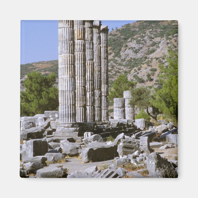 Asien, Naher Osten, Türkei, Ephesus. Tempel Magnet (Vorne)