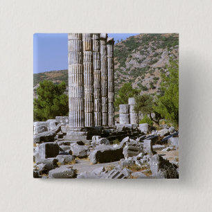 Asien, Naher Osten, Türkei, Ephesus. Tempel von Button