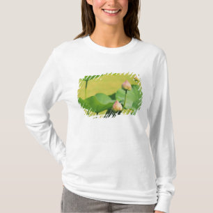 Asien, Thailand, Bangkok. Grand Palace, Lotus T-Shirt