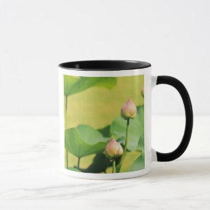 Asien, Thailand, Bangkok. Grand Palace, Lotus Tasse
