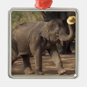 Asien, Thailand, Lampang Verbeugung mit Hut - Thai Ornament Aus Metall