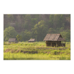 Asien, Thailand, Mae Hong Son, Reishütten in der Fotodruck