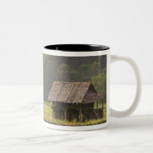 Asien, Thailand, Mae Hong Son, Reishütten in der Zweifarbige Tasse