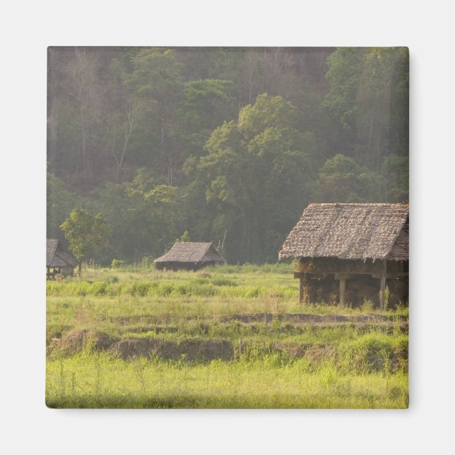 Asien, Thailand, Mae Hong Son, Reithütten in den Magnet (Vorne)